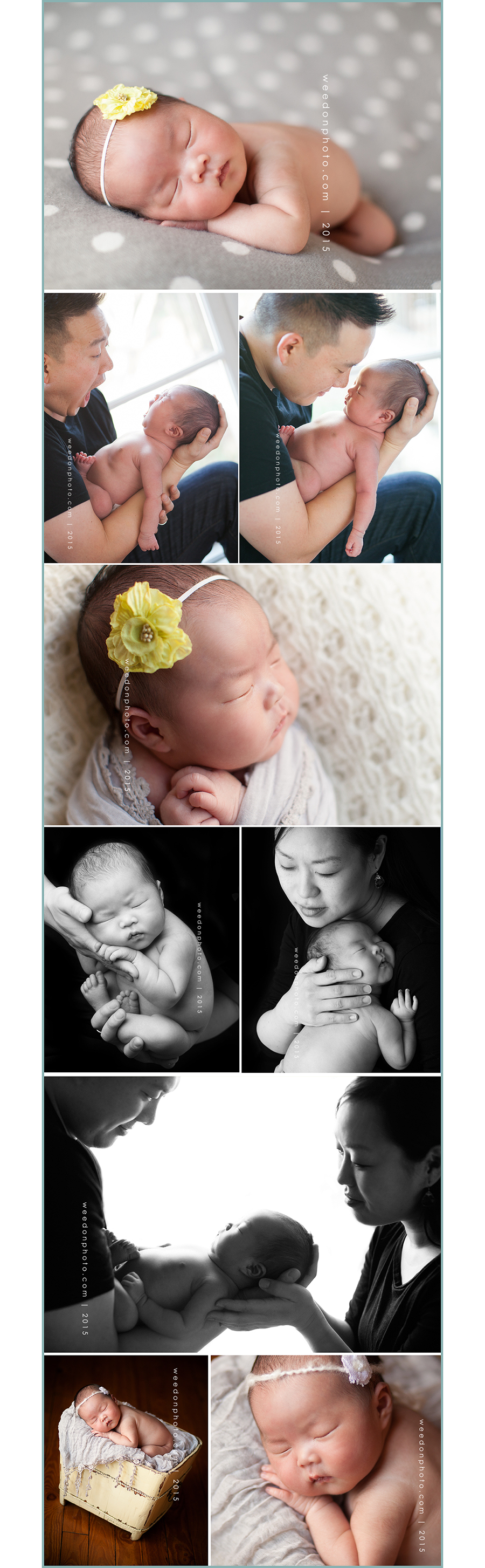 Feb20'15b_AngelaWeedonBlog copy